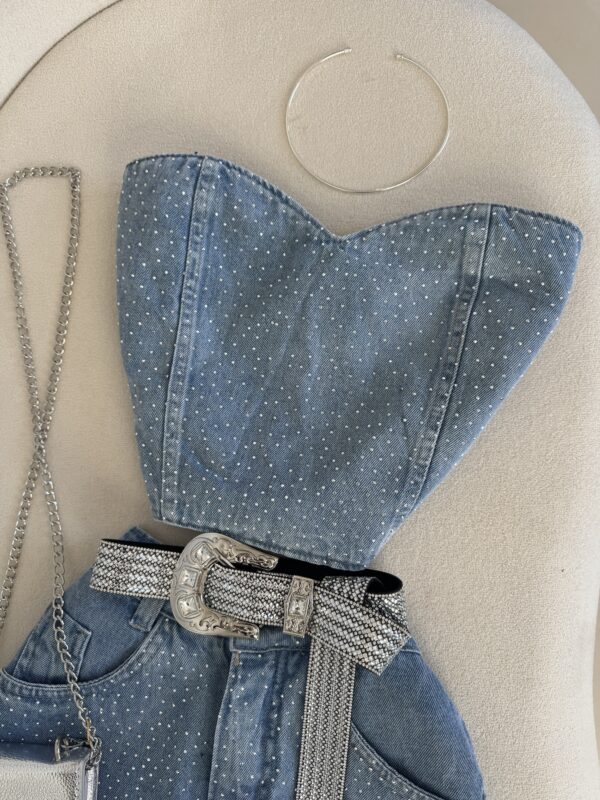 Cinto Country Strass Luxo Prata - Imagem 3