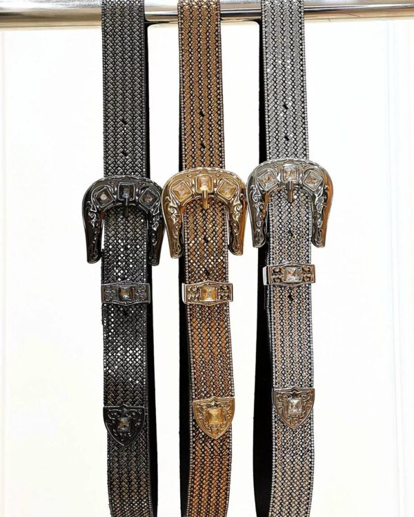 Cinto Country Strass Luxo Prata - Imagem 5